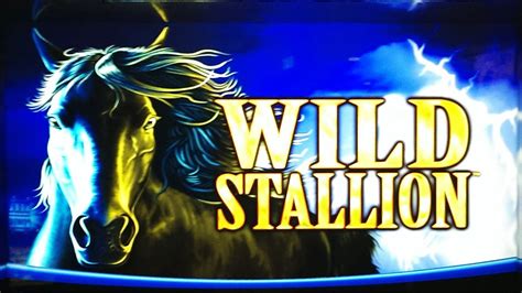 wild stallion slot machine youtube 2016/